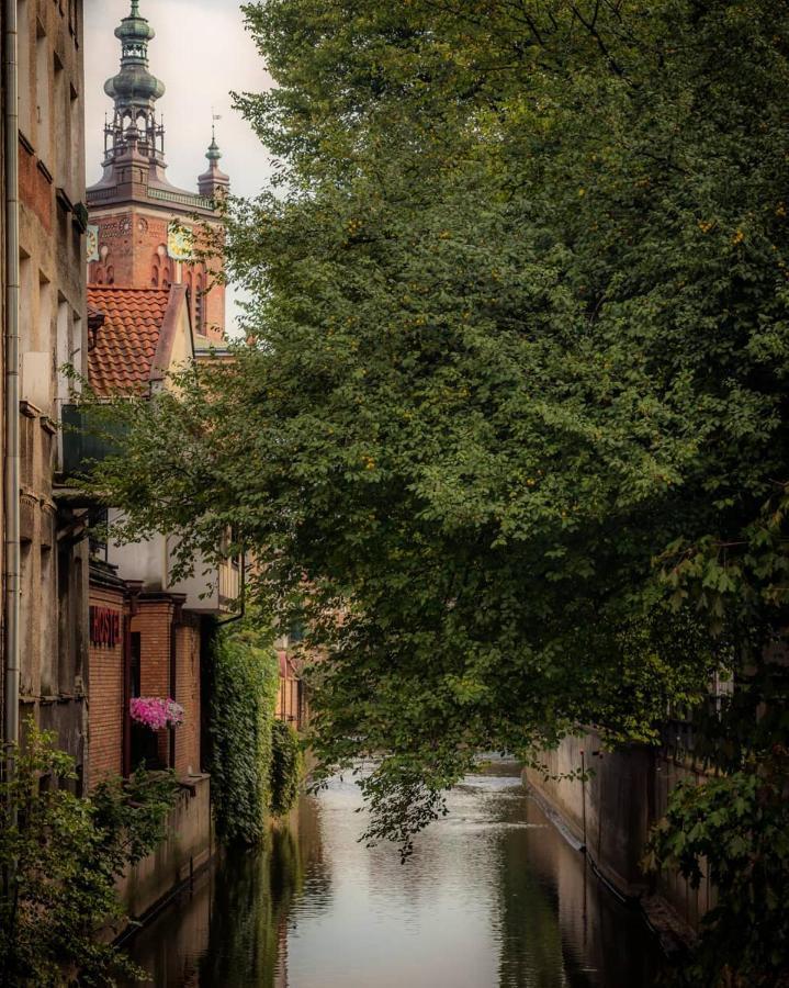 Studio Four Seasons With Parking Place Gdansk Dış mekan fotoğraf