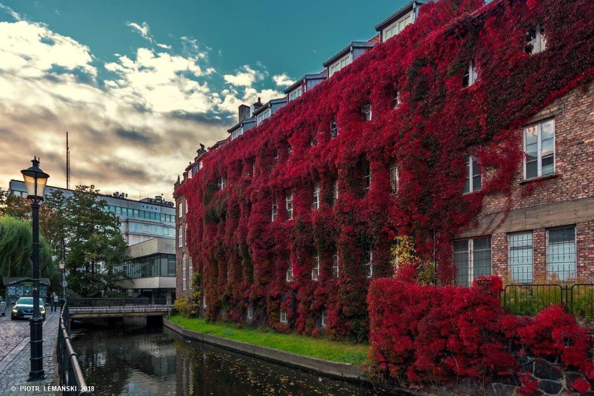 Studio Four Seasons With Parking Place Gdansk Dış mekan fotoğraf