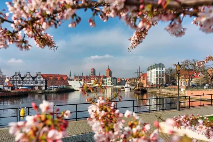 Studio Four Seasons With Parking Place Gdansk Oda fotoğraf